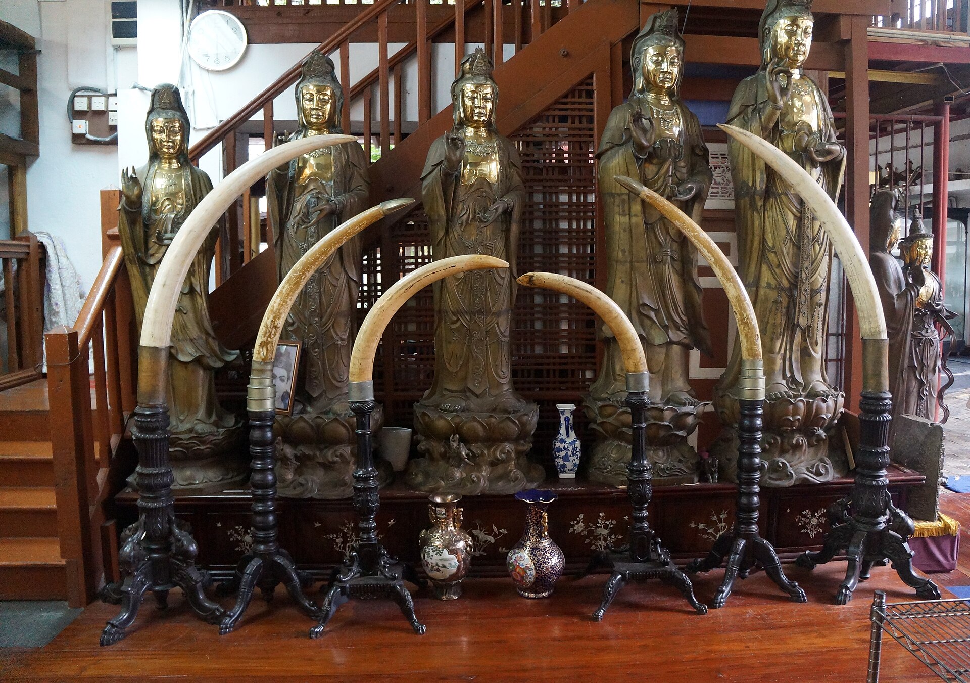 Colombo — photograph 4