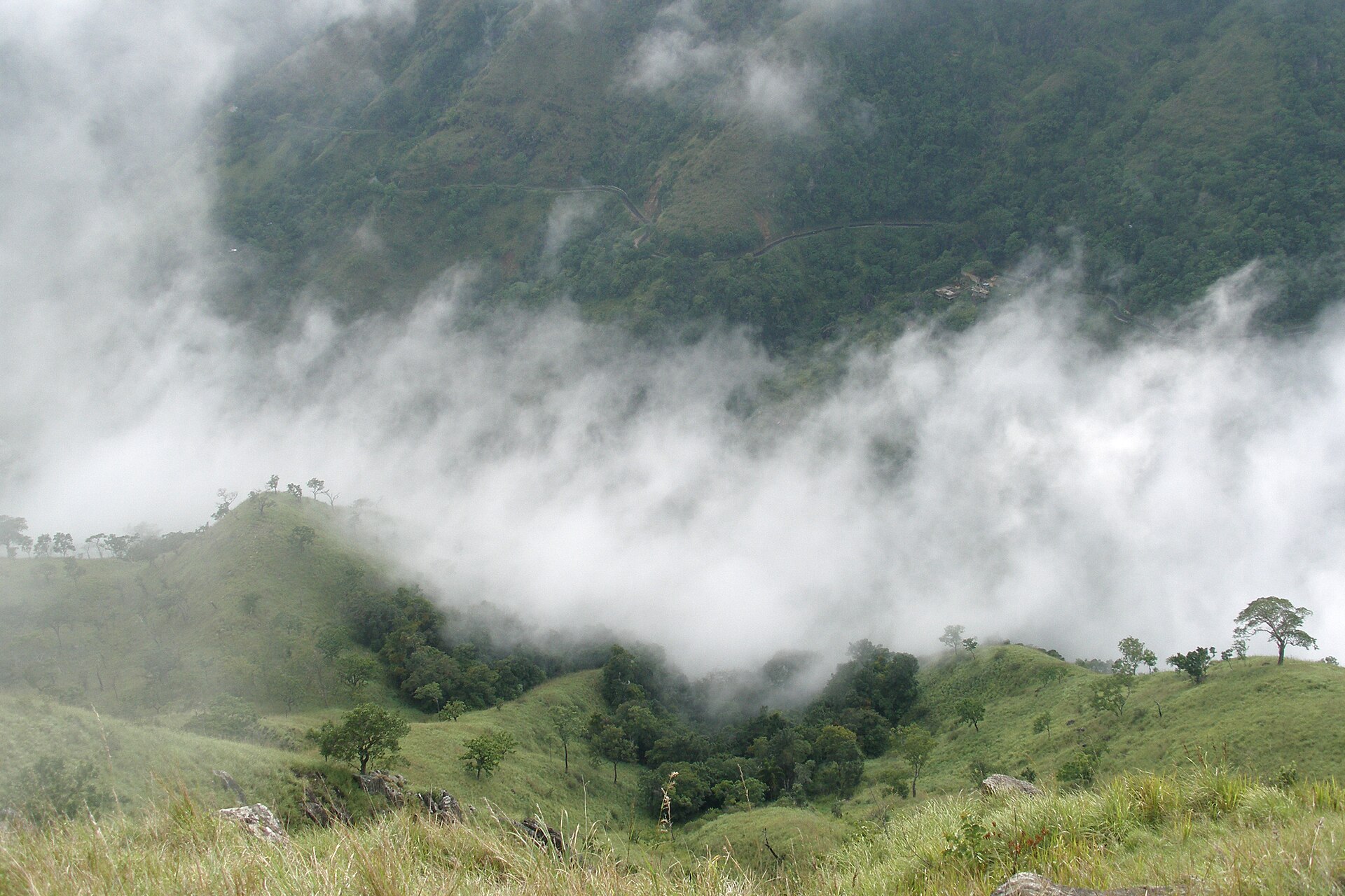 Ella Highlands — photograph 4
