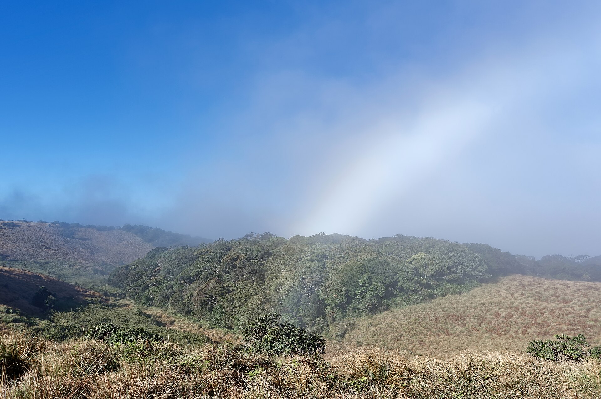 Horton Plains — photograph 2