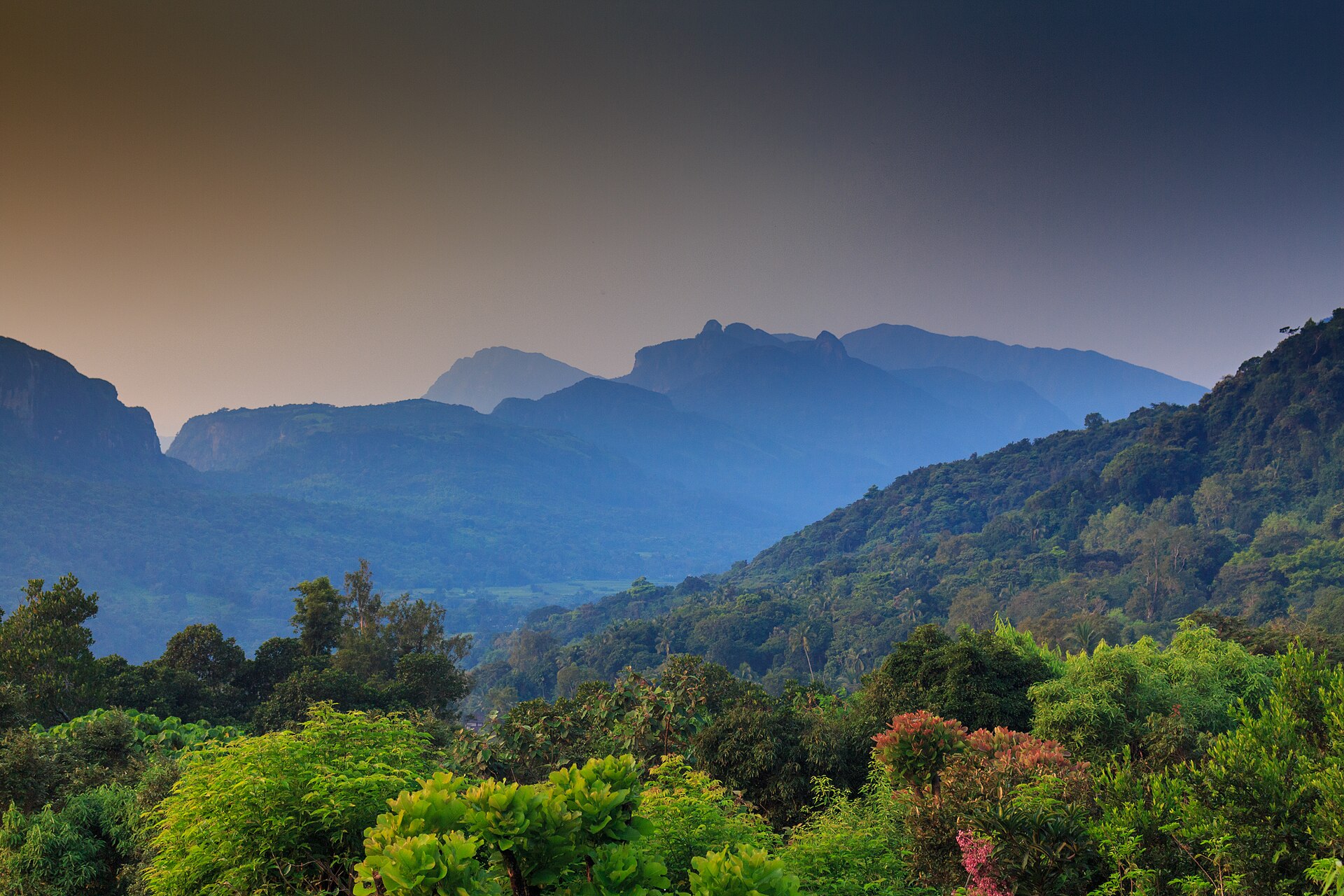 Knuckles Range