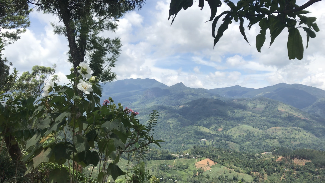 Knuckles Range — photograph 4