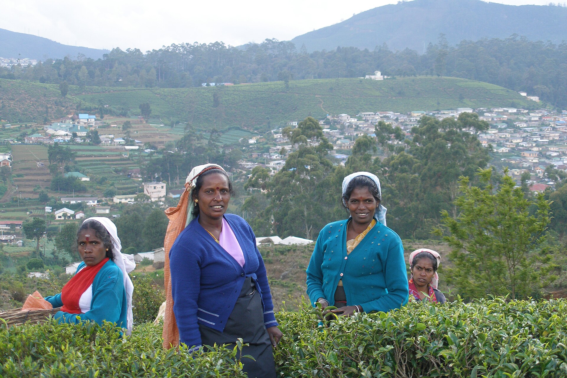 Nuwara Eliya — photograph 3