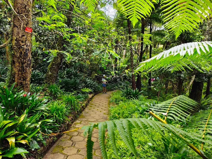 Hakgala Botanical Garden — photograph 3