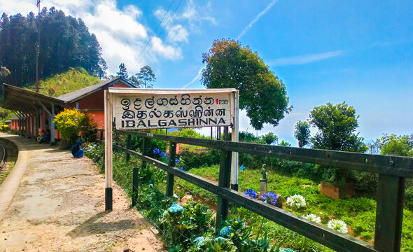 Idalgashinna