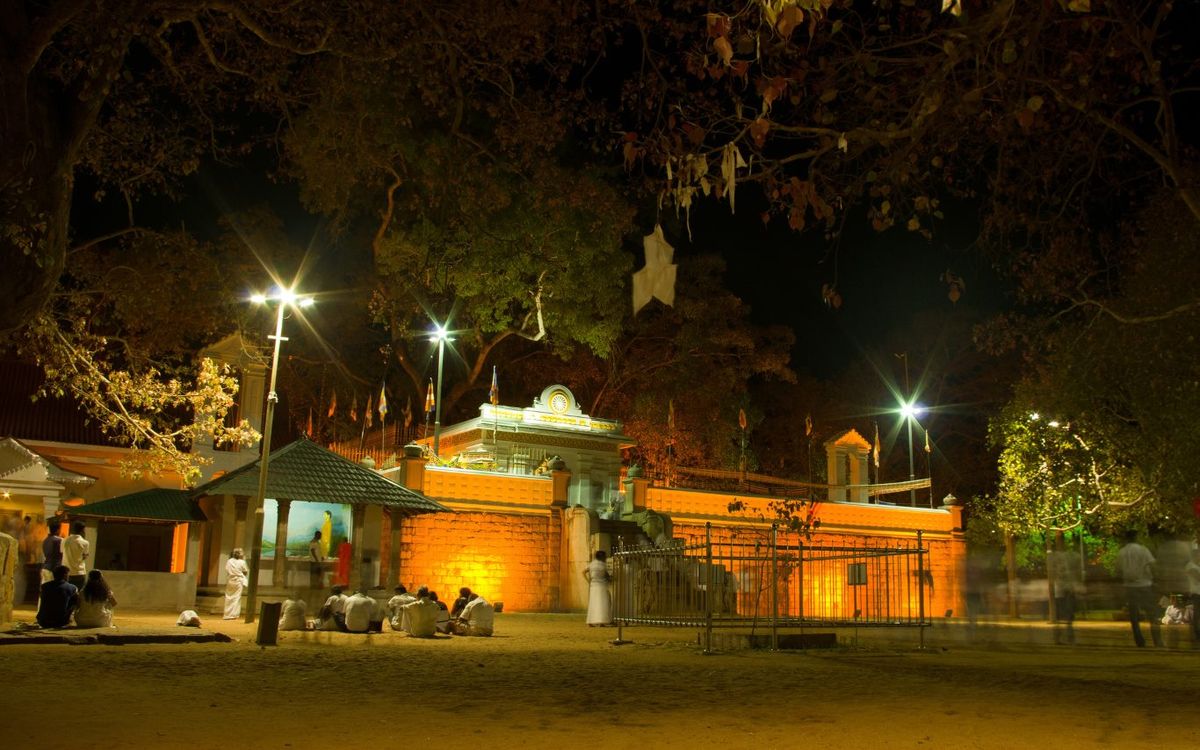Jaya Sri Maha Bodhi — photograph 1