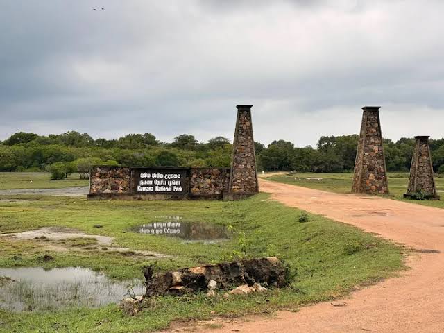 Kumana National Park — photograph 4