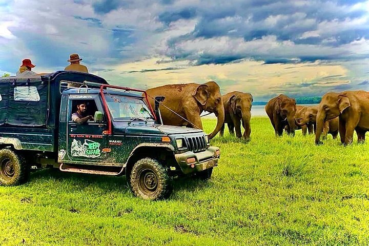Minneriya National Park