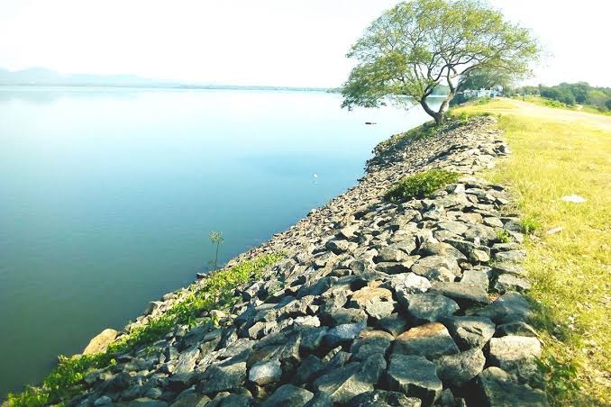 Minneriya National Park — photograph 2