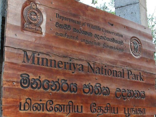 Minneriya National Park — photograph 5