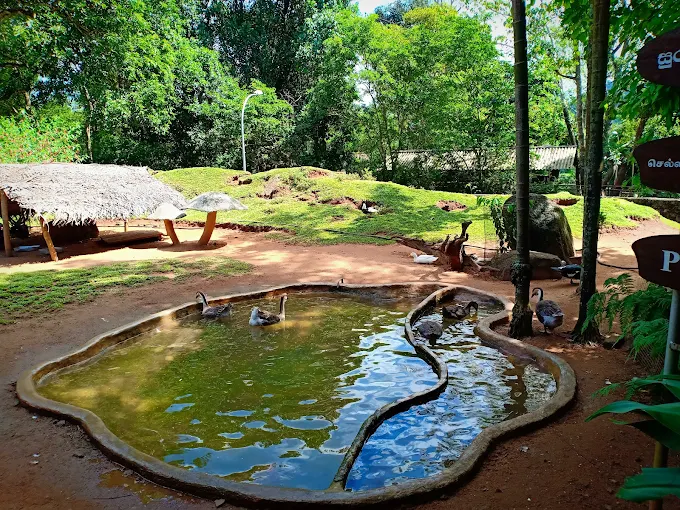 Pinnawala Open Zoo — photograph 3