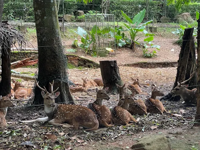 Pinnawala Open Zoo — photograph 5