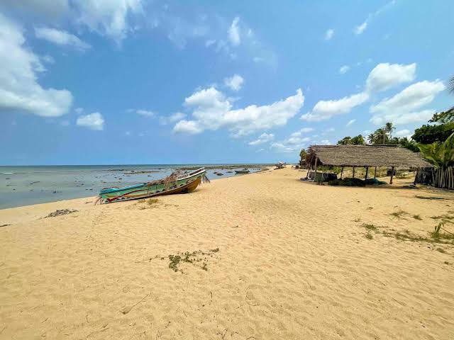 Point Pedro — photograph 1