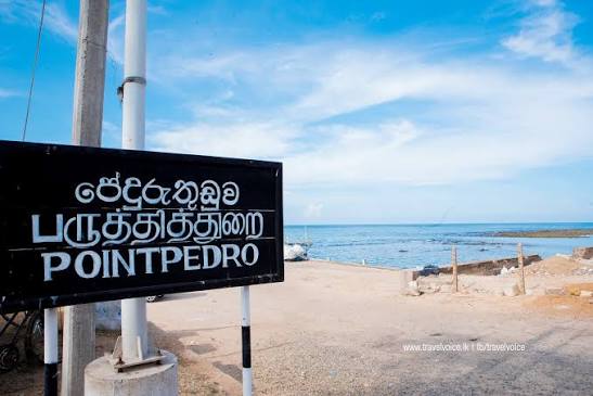 Point Pedro — photograph 3