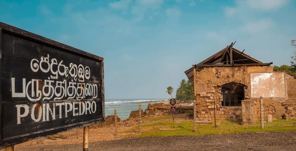 Point Pedro — photograph 4